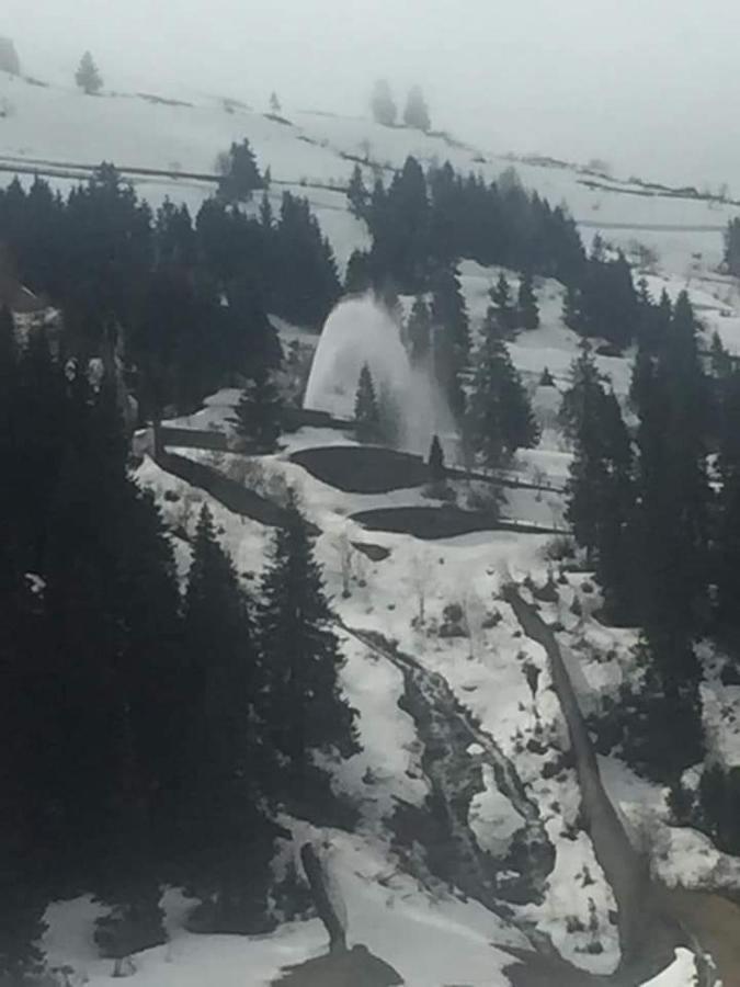 Na Pograniczu Domek W Gorach Lasowka المظهر الخارجي الصورة